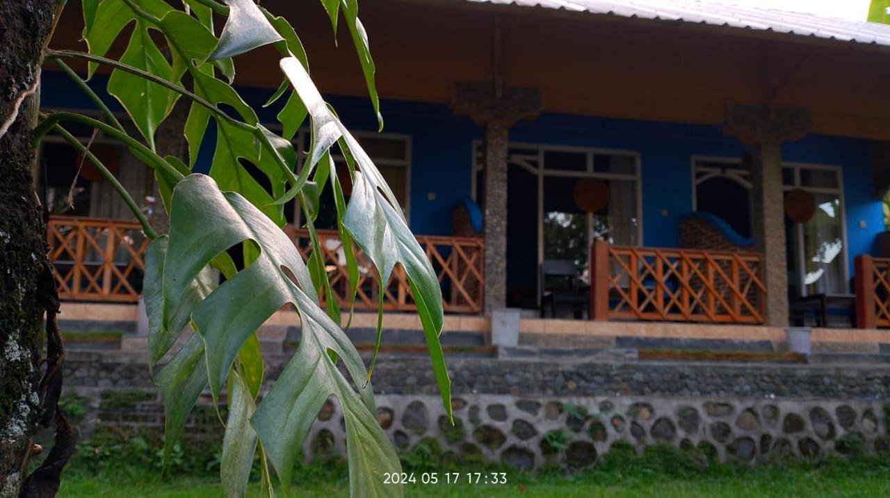 Blue Mountain Cottage Senaru Zewnętrze zdjęcie